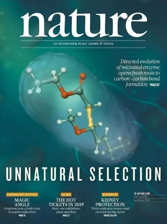 中国网■『2019.12.20』轻松早茶