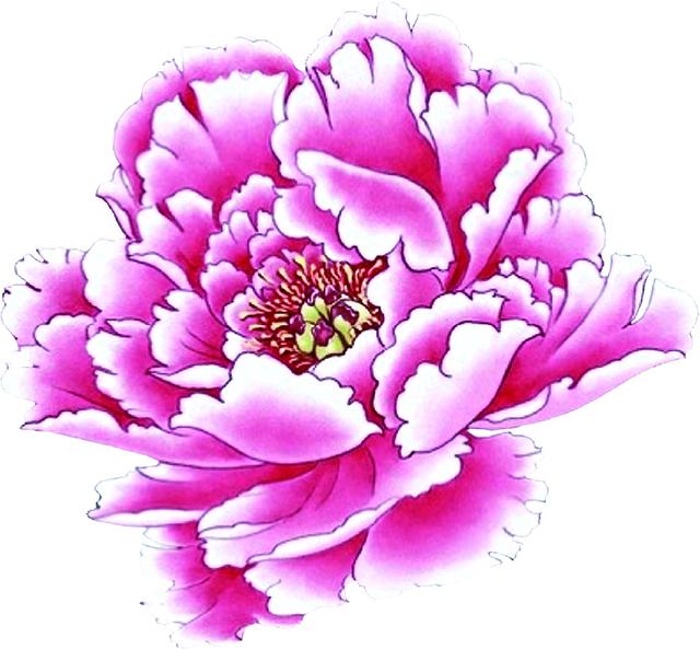上观新闻■第十届中国花博会的会花、会歌和会徽发布了