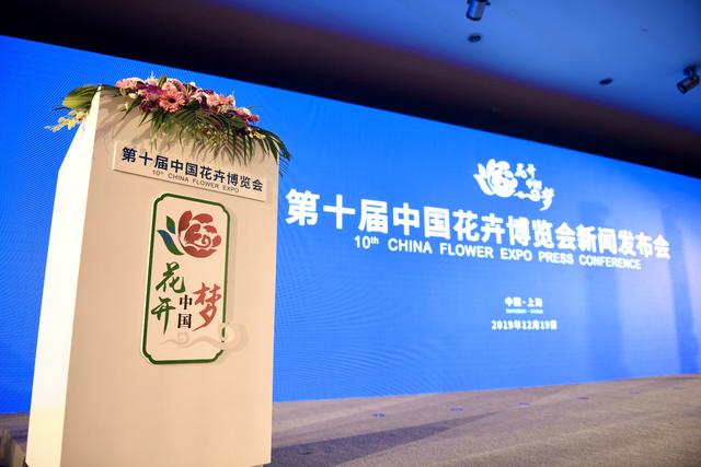 崇明花博会会花,会徽,会歌发布