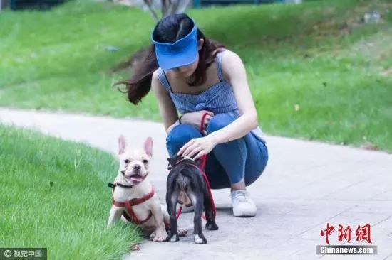 「中国新闻网」扎心！近半90后日行不足5千步，为啥你运动量不如你妈？