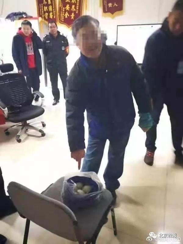 中国青年网@圆明园内7枚黑天鹅蛋险被拿走！“护蛋”还是“偷蛋”？