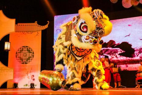 中国青年网：暨南大学新加坡华侨校友倾情助力五洲学子传播中华文化