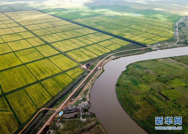 「新华网」中国农业技术帮助莫桑比克改善粮食问题