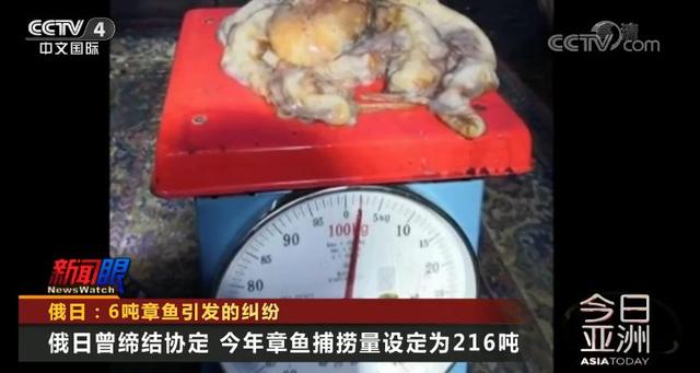 上观新闻■6吨章鱼引发的日俄纠纷