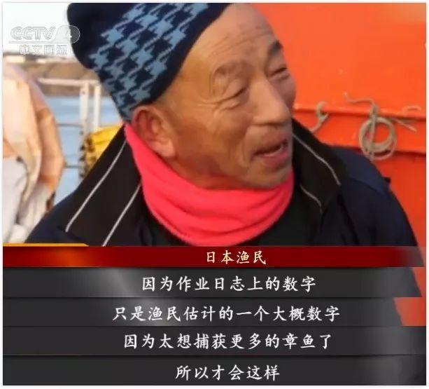 上观新闻■6吨章鱼引发的日俄纠纷