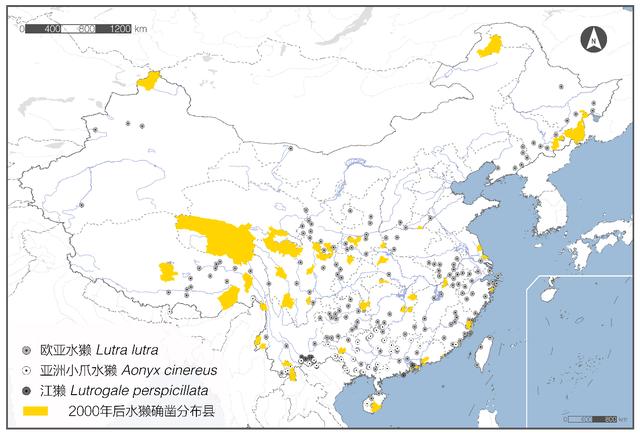 「南方周末」水獭数量锐减，生存面临三大挑战