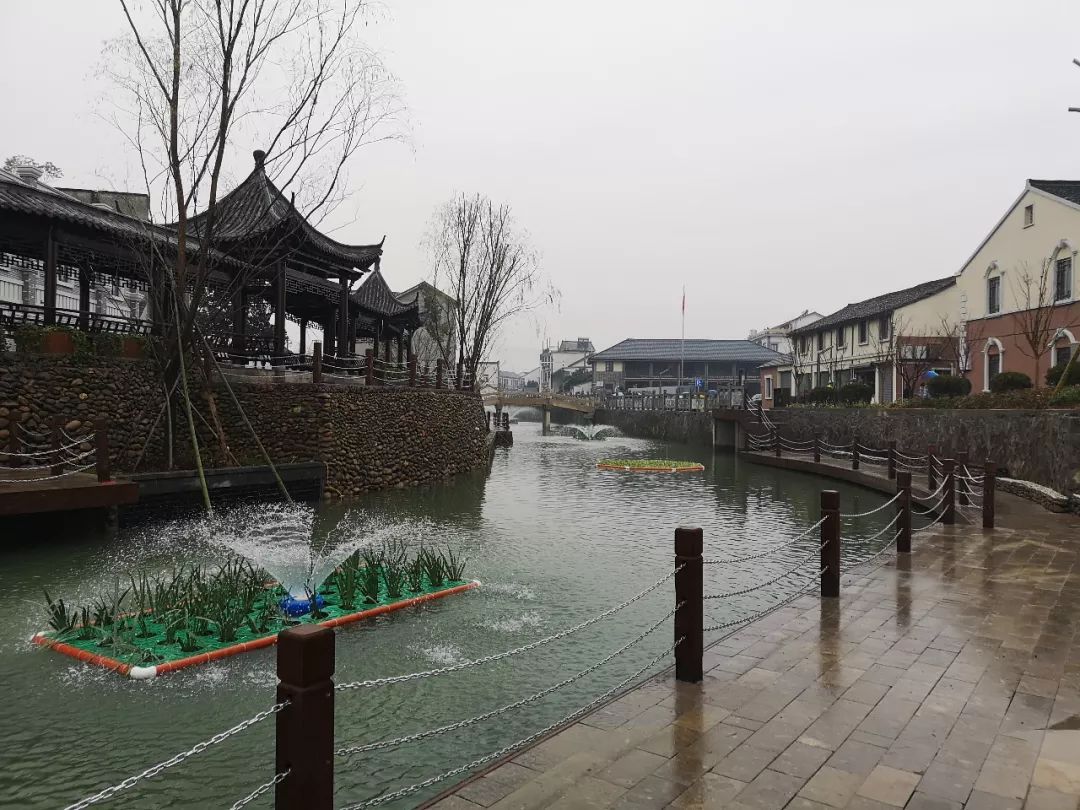 下渚湖街道水下森林
