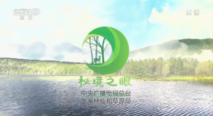 [央视一套]“我们不一样！” 《秘境之眼》带您了解一些嘴形各不相同的“小可爱”们！