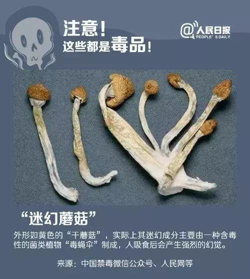 「东南网」福建人当心！见到这种“邮票”，立即举报！有毒