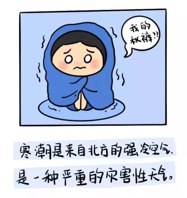 「文汇报」冷冷冷冷！上海寒潮蓝色预警！48小时内大部郊区气温将下降8度以上