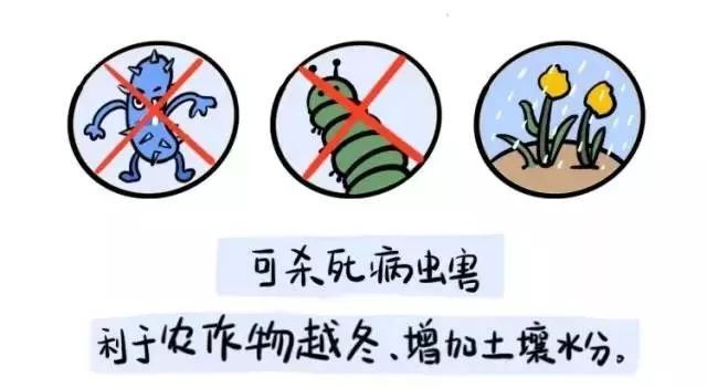 「文汇报」冷冷冷冷！上海寒潮蓝色预警！48小时内大部郊区气温将下降8度以上