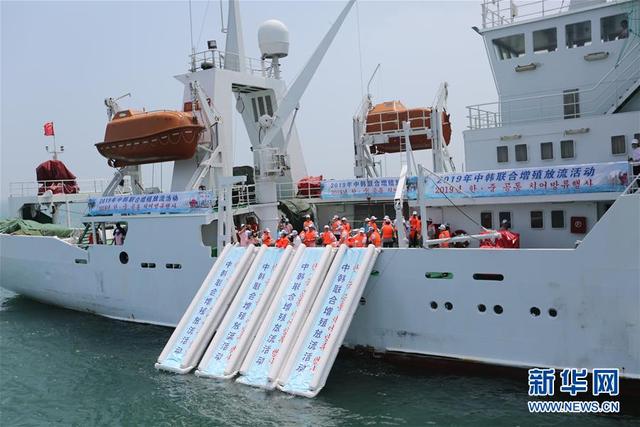 【新华网】温故知新，开辟未来——第八次中日韩领导人会议解读