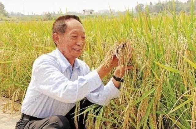 健康中国：这部纪录片你看了吗？袁隆平的接生医生居然是她！