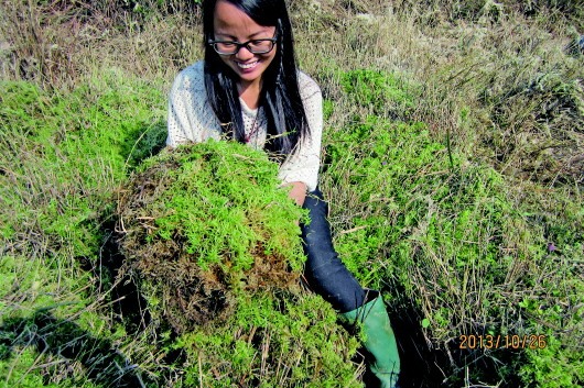 水苔姑娘甘当富民草民
