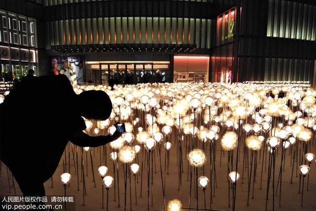 「人民网」上海：2万盏蒲公英灯亮相徐家汇街头