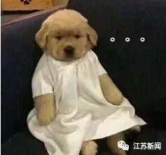 「江苏新闻」一块重48斤，俩男子赴长城偷砖被困悬崖！消防搜救5小时气笑…