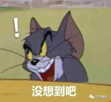 「江苏新闻」一块重48斤，俩男子赴长城偷砖被困悬崖！消防搜救5小时气笑…