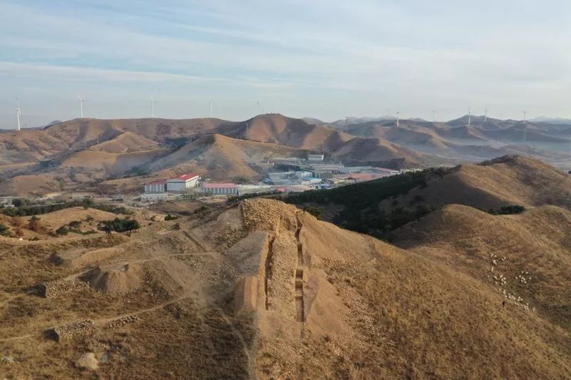 辽宁公布2019年度考古新发现墓地出土的蜻蜓眼原来是