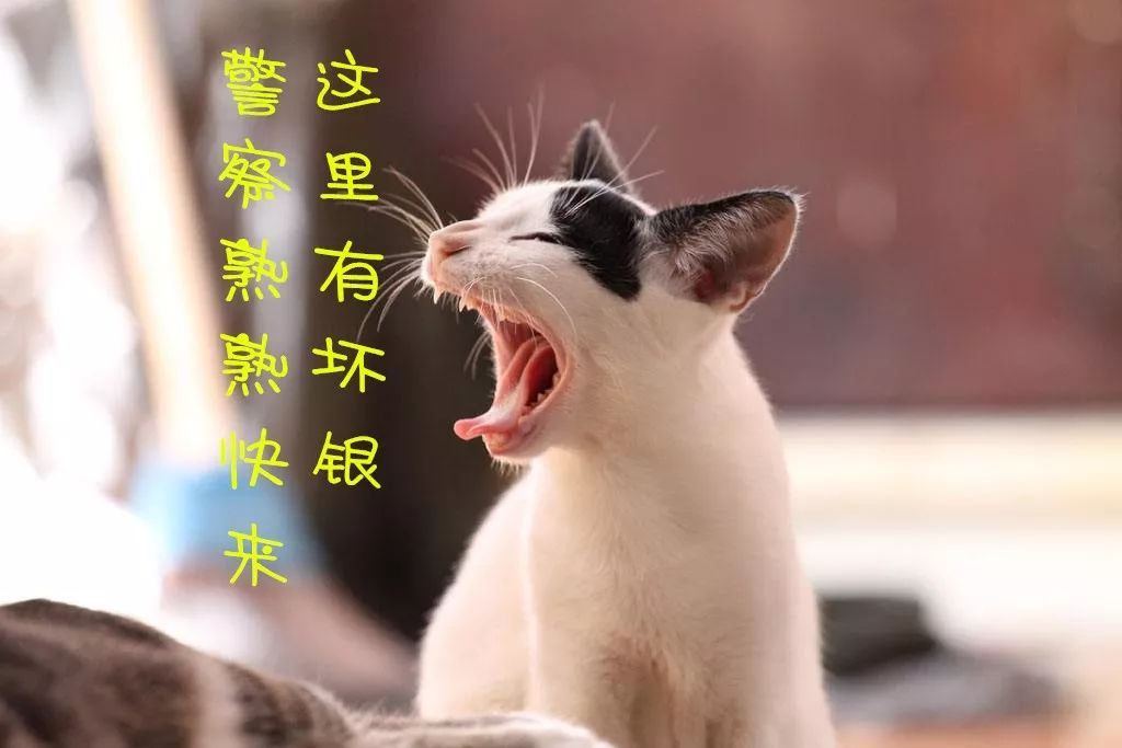 「平安北京」车无轮马无缰，叫声将军提防提防~~