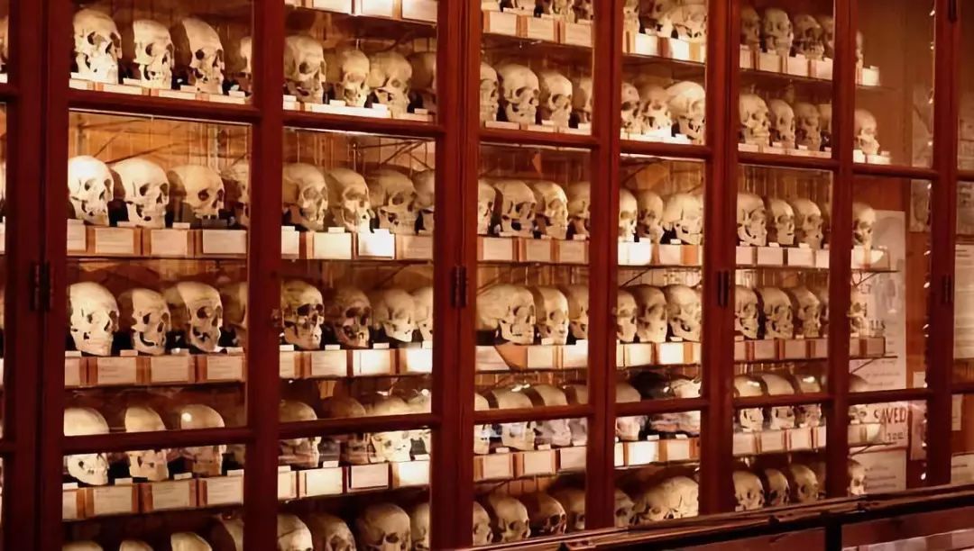 医学界重口味博物馆,藏品千奇百怪却体现着医者仁心