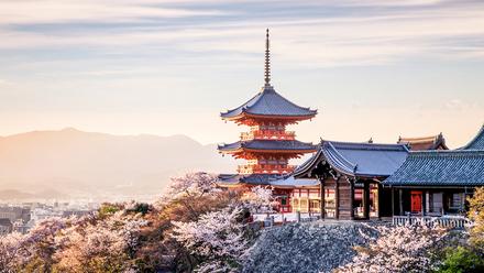 [上观新闻]日本这次为啥不和美国玩儿了？其实是这么想的……