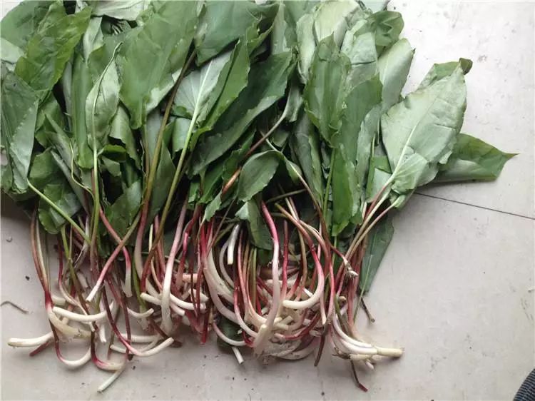 2025坐着高铁游兴山