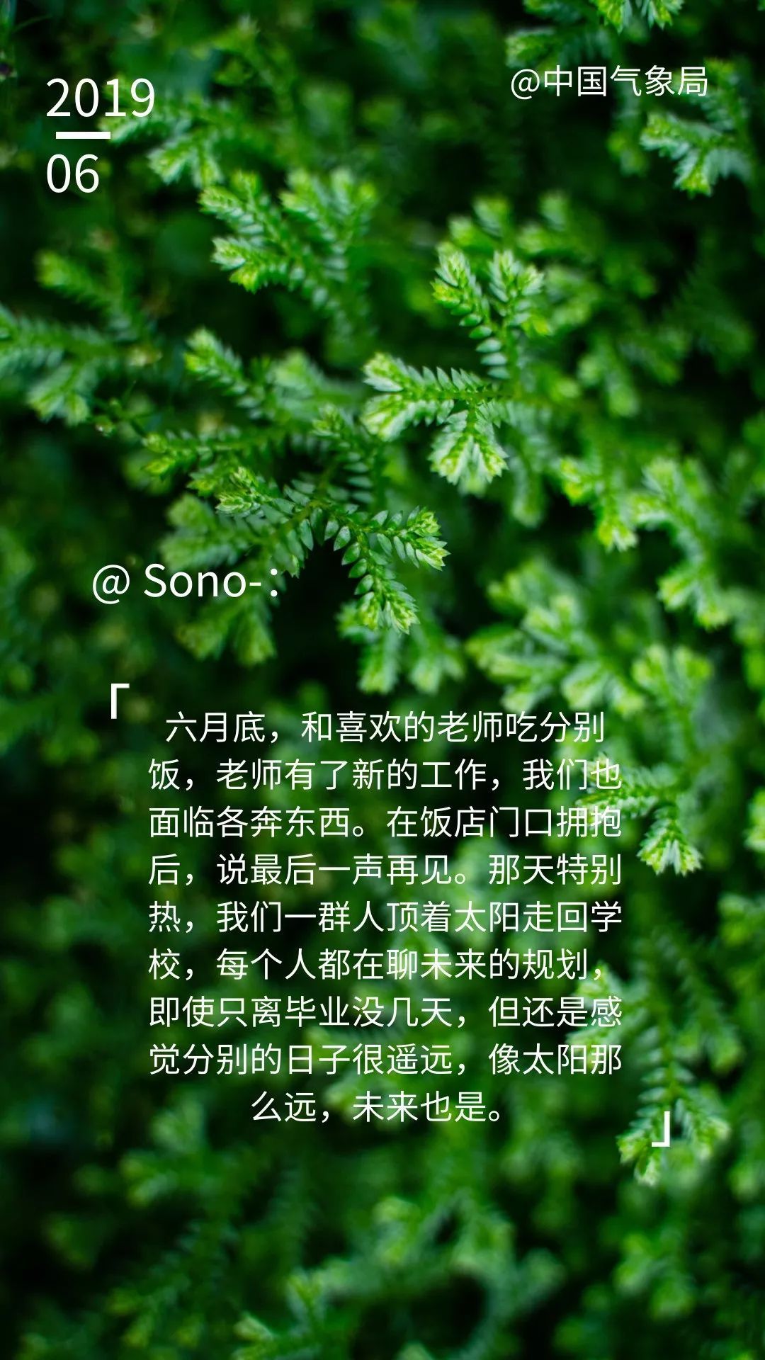 「中国气象局」中国气象局官微粉丝：2019，那一天的天气，我最难忘......