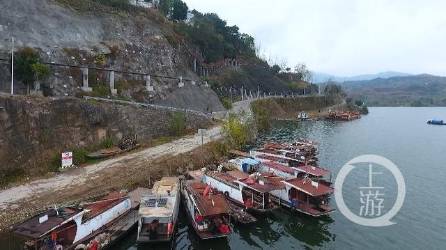 「上游新闻」上游纪录丨禁渔十年，我种树 她清漂