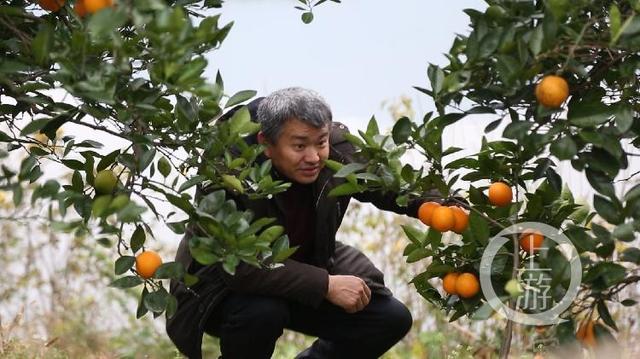 「上游新闻」上游纪录丨禁渔十年，我种树 她清漂