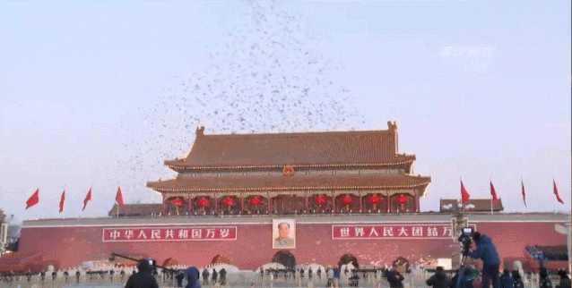 638_322gif 动态图 动图