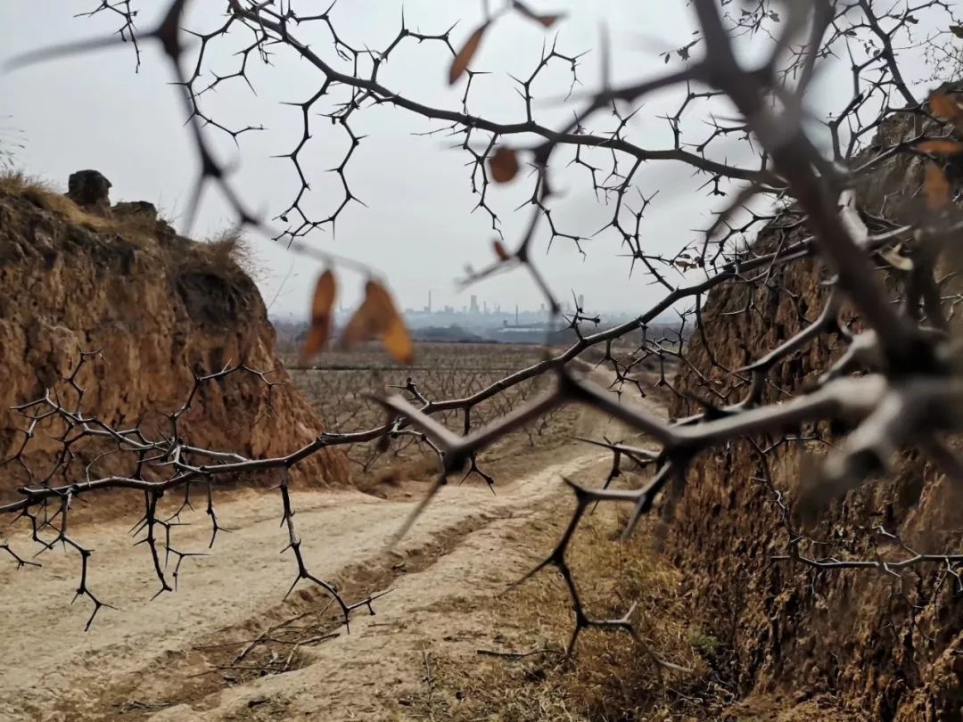 人民武警：熄灯号丨再见2019，你好2020