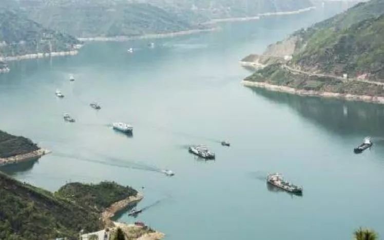 【新京报评论】“长江重点水域常年禁捕”重在执行｜新京报快评