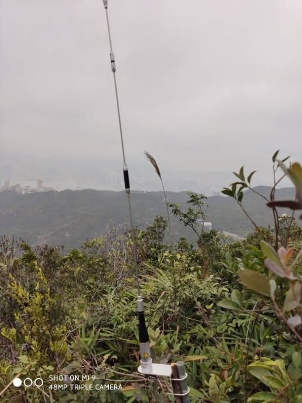 【观察者网】用无线电给暴徒通风报信，5人被捕