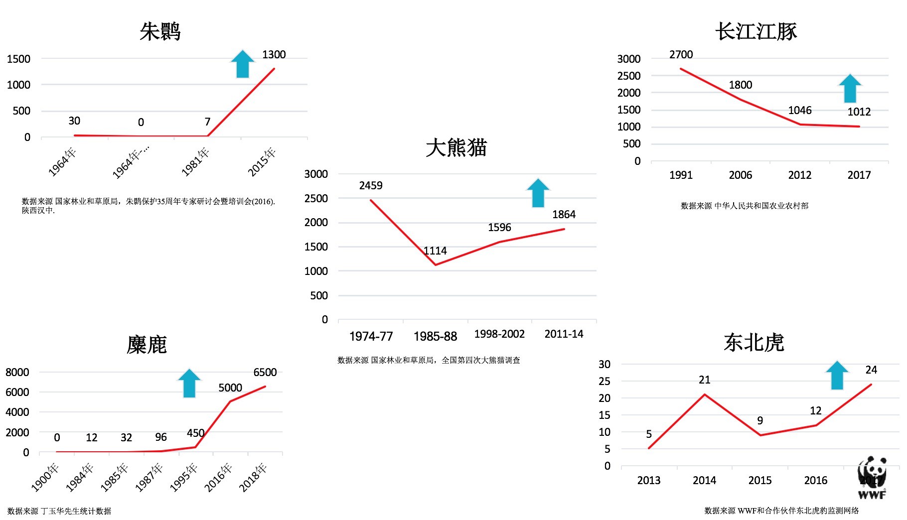 【澎湃新闻】地球的一半︱2020，地球的三重危机与三种路径