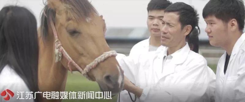 [江苏新闻]这20多张欠条他还了8年！背后故事令人泪目