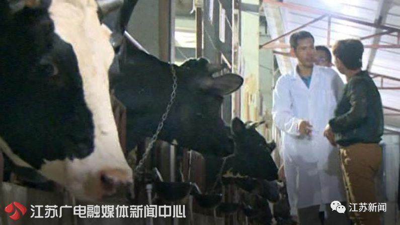 [江苏新闻]这20多张欠条他还了8年！背后故事令人泪目