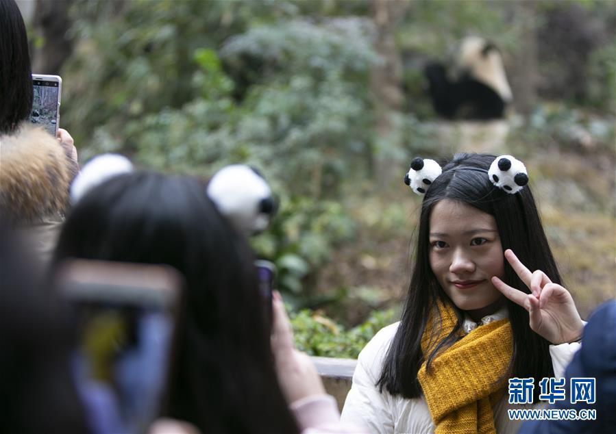 「新华网」萌“滚滚”过元旦