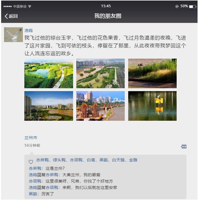 新闻晨报■「生态文明@湿地」候鸟与兰州相恋 展开黄河兰州段生态画卷