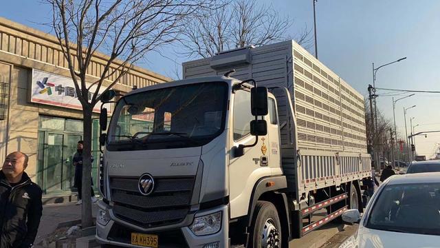 北京日报客户端：国庆天安门前放飞的鸽子，今早又在这里放飞