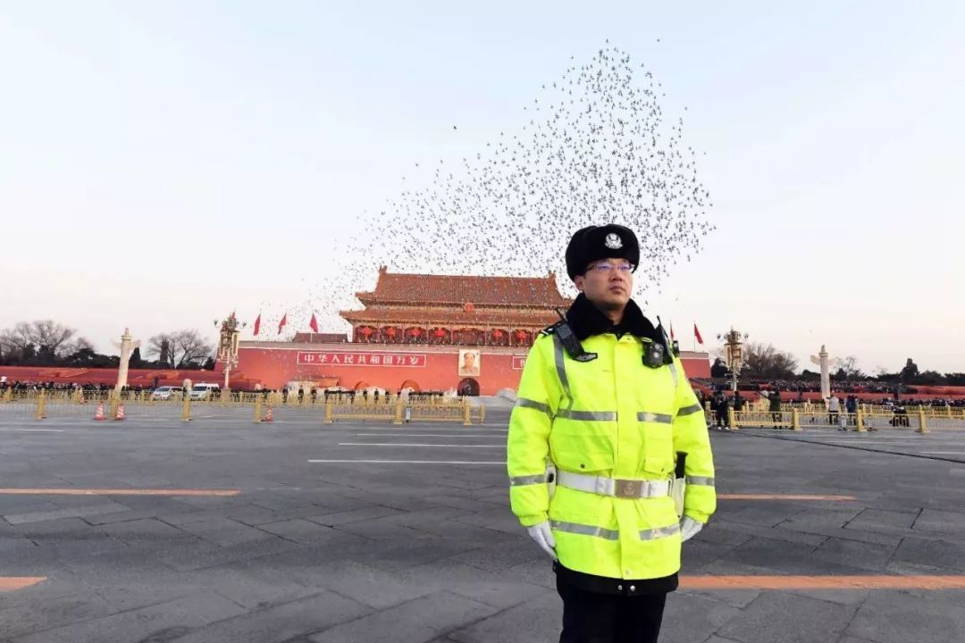 公安部交通安全微发布：忠诚护卫 | 交管镜像