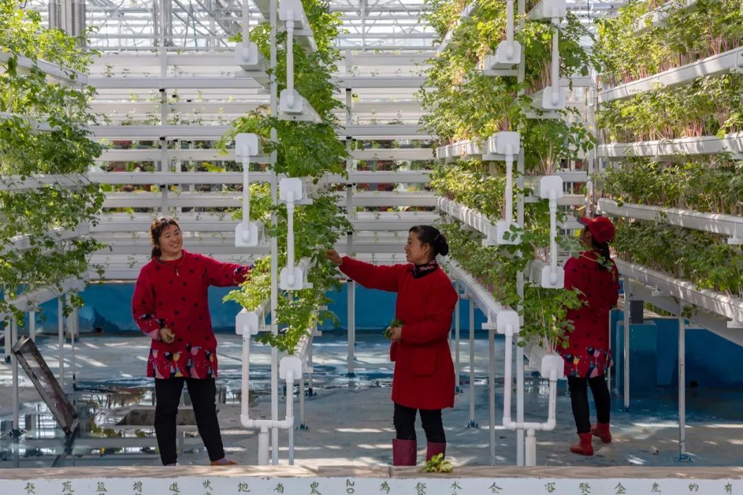 工人日报：泪目！新年第一天，她跟3岁的女儿一起加班......