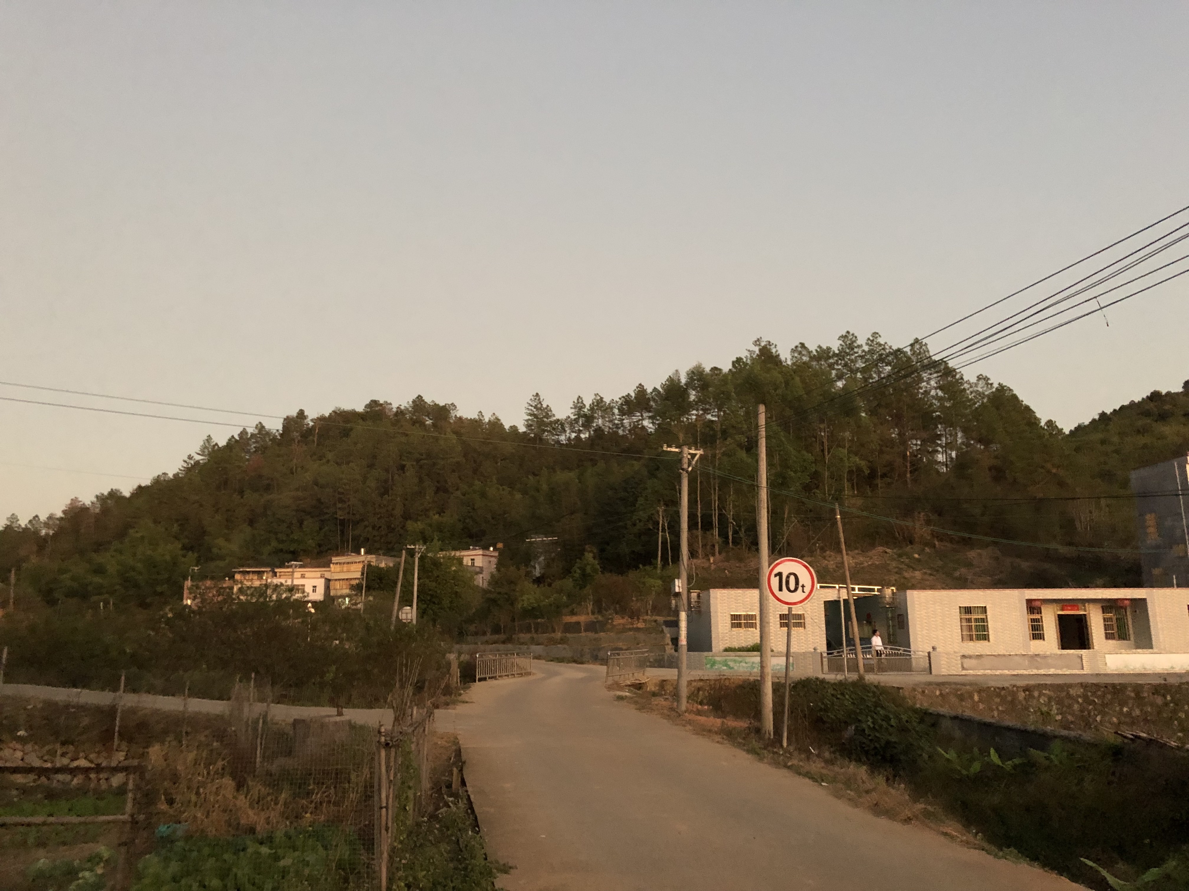 「澎湃新闻」回访｜寻找梅姨的7天与2年