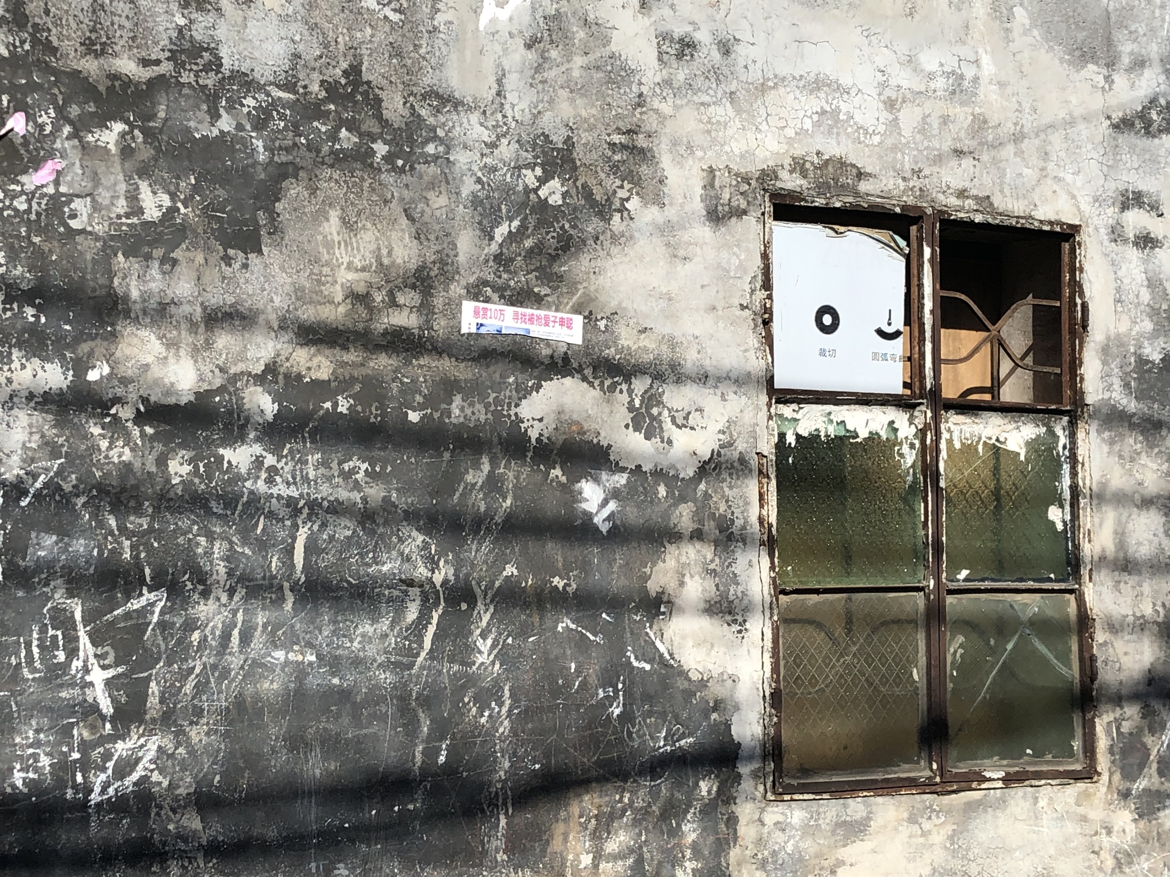 「澎湃新闻」回访｜寻找梅姨的7天与2年