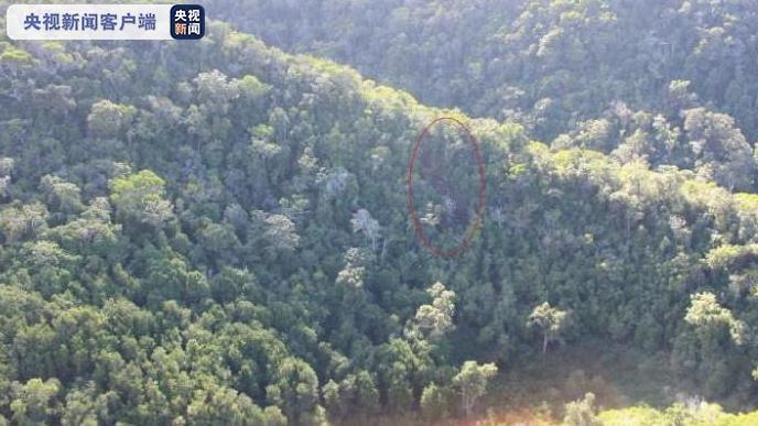 「央视新闻客户端」美国官方确认夏威夷坠毁观光直升机上7人全部死亡