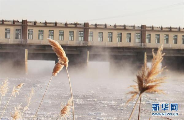 新华网：黄河三盛公水利枢纽库区出现“水煮黄河”景观