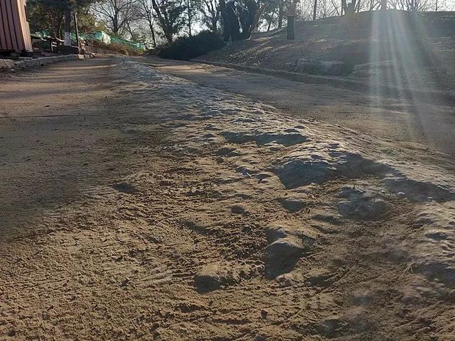 #北京日报客户端#奥森北园市民一边健身一边“吃土”