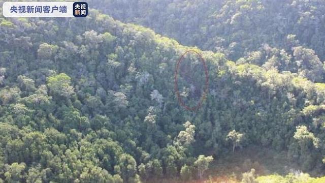 [大洋网]美国确认夏威夷坠毁观光直升机上7人全部死亡