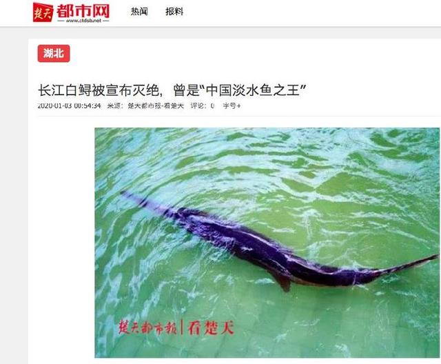 「上游新闻」夜读 |“长江白鲟灭绝”上热搜 | 人社部：年假不休能要经济补偿