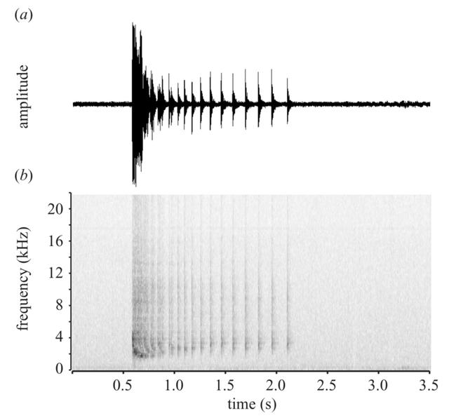 文汇报：这种鱼不仅会放屁，还会用屁来交流……网友：怪不得它是世界上最臭的
