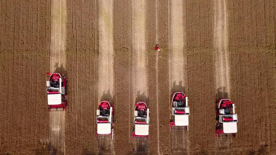 文汇报@【年终报道】我们的新时代·字述2019 | 新